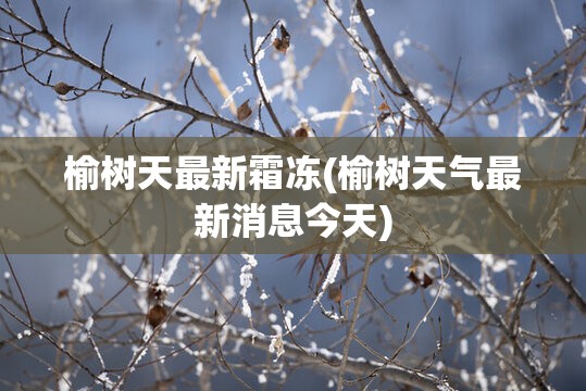 榆树天最新霜冻(榆树天气最新消息今天)