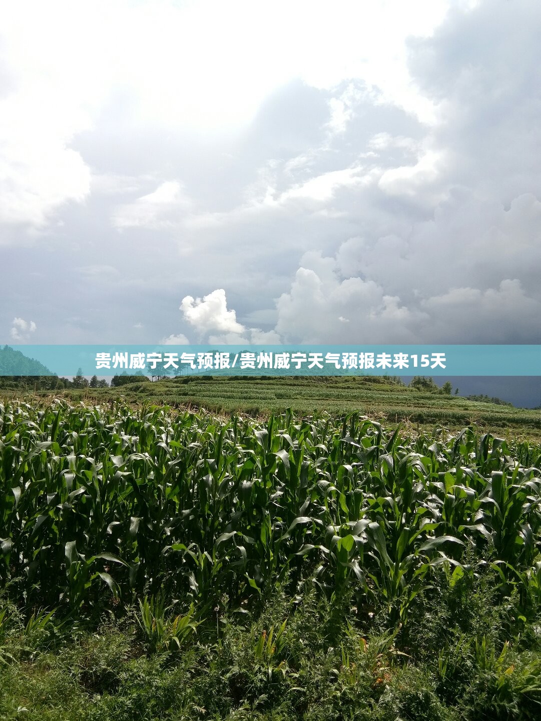 贵州威宁天气预报/贵州威宁天气预报未来15天