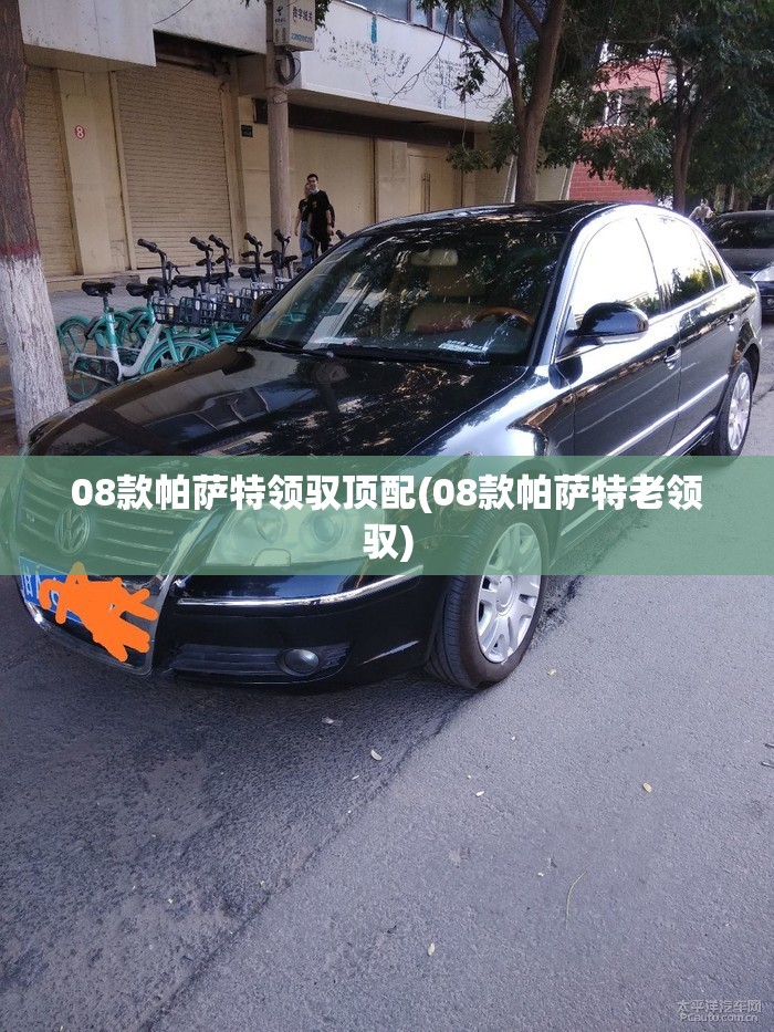 08款帕萨特领驭顶配(08款帕萨特老领驭)
