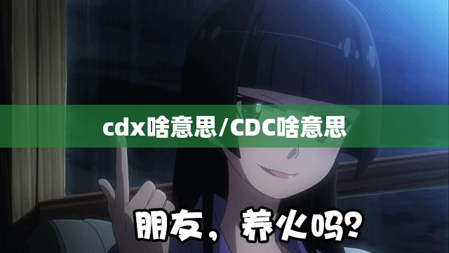 cdx啥意思/CDC啥意思