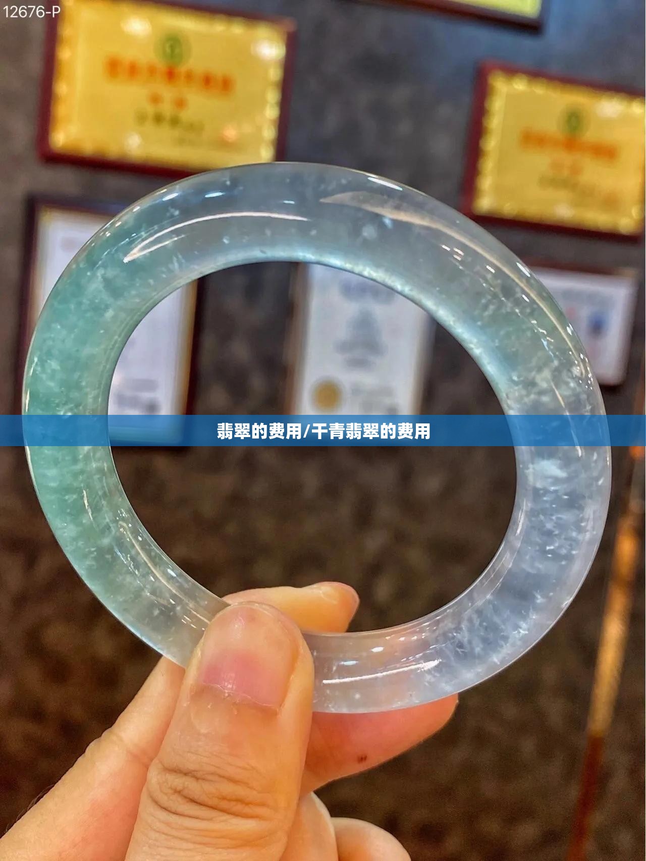 翡翠的费用/干青翡翠的费用