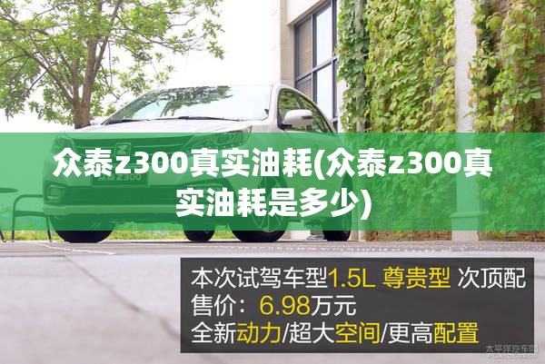 众泰z300真实油耗(众泰z300真实油耗是多少)