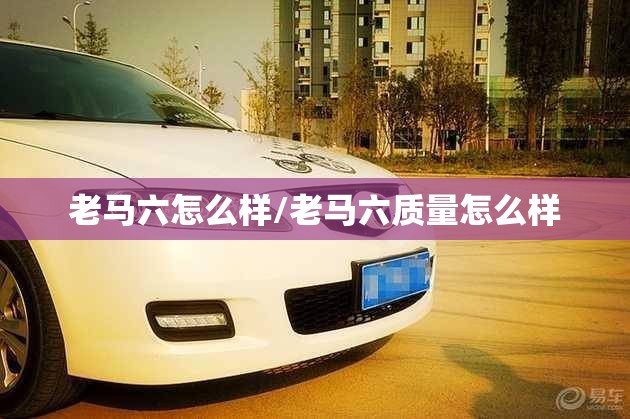 老马六怎么样/老马六质量怎么样