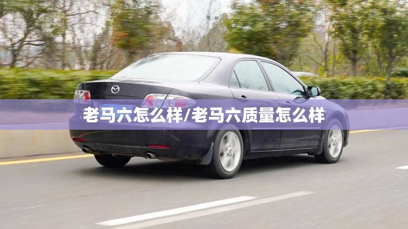老马六怎么样/老马六质量怎么样