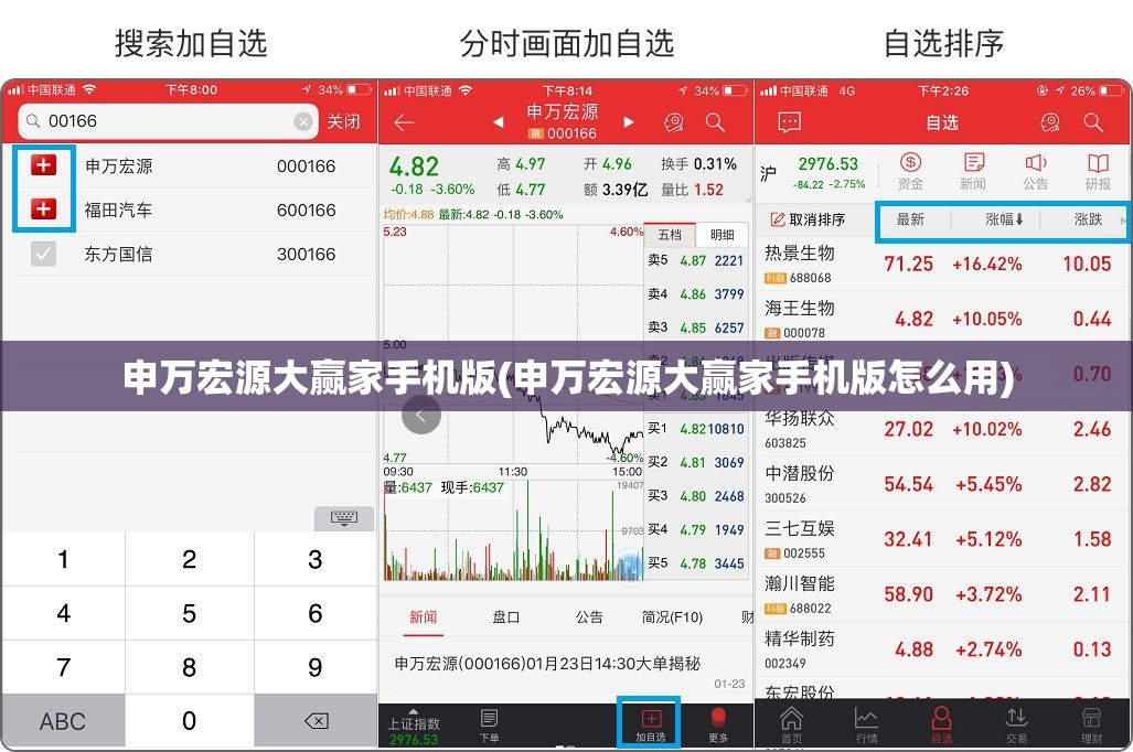 申万宏源大赢家手机版(申万宏源大赢家手机版怎么用)