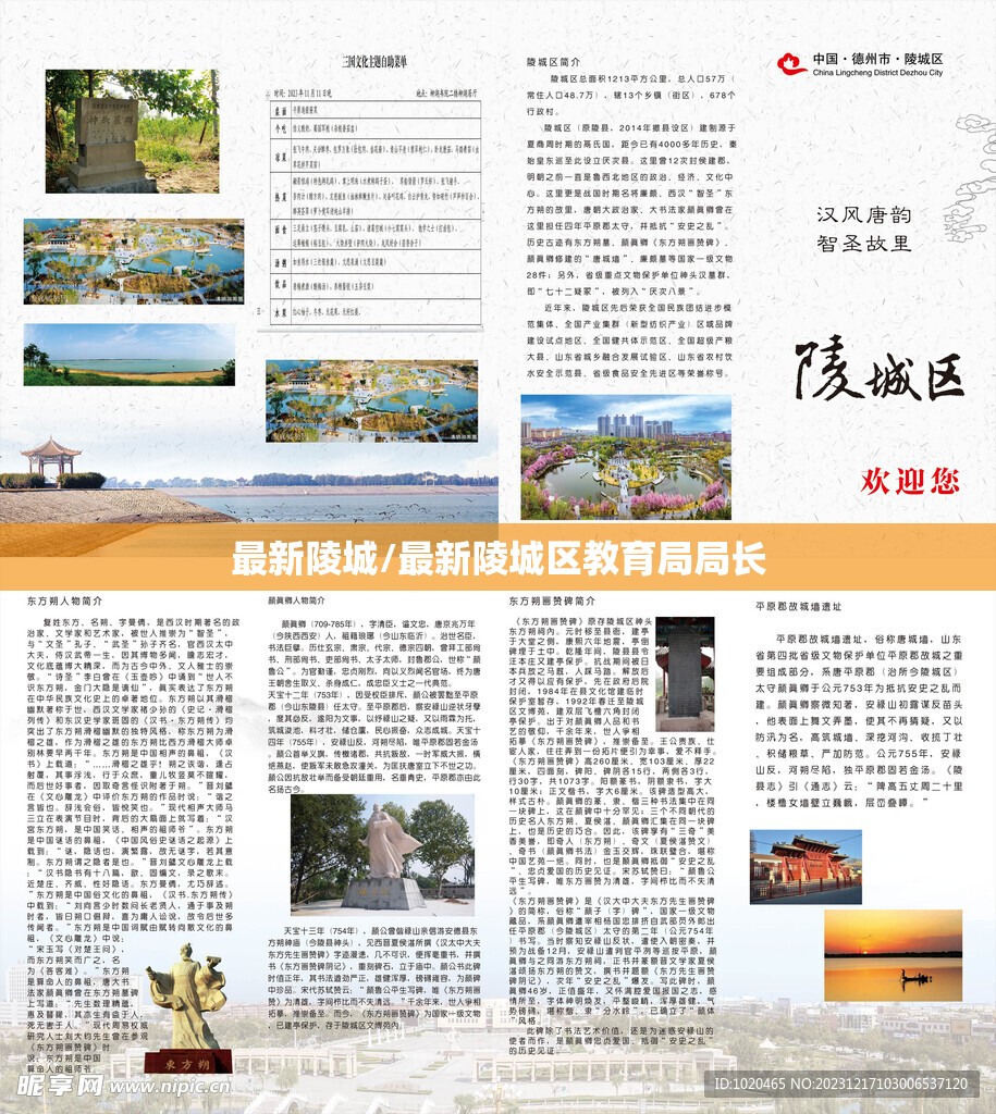 最新陵城/最新陵城区教育局局长