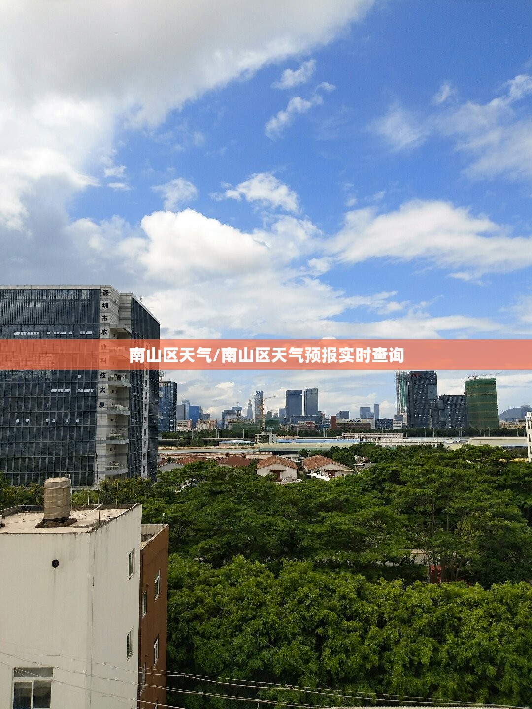 南山区天气/南山区天气预报实时查询