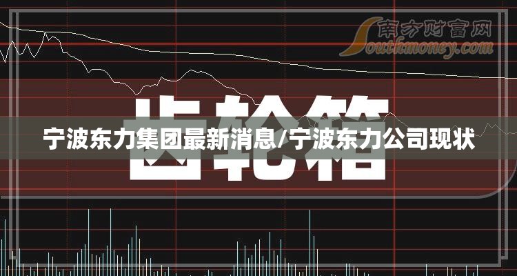 宁波东力集团最新消息/宁波东力公司现状