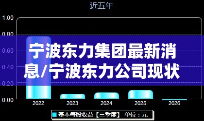 宁波东力集团最新消息/宁波东力公司现状