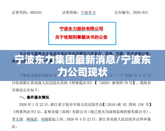 宁波东力集团最新消息/宁波东力公司现状