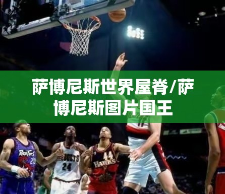 萨博尼斯世界屋脊/萨博尼斯图片国王