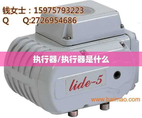 执行器/执行器是什么