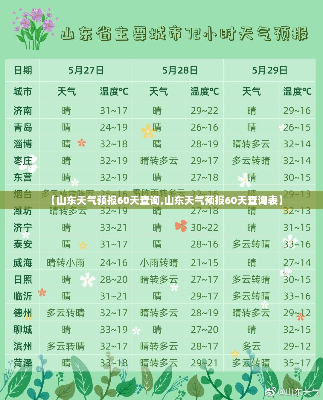 【山东天气预报60天查询,山东天气预报60天查询表】
