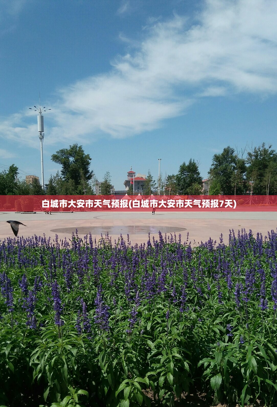 白城市大安市天气预报(白城市大安市天气预报7天)