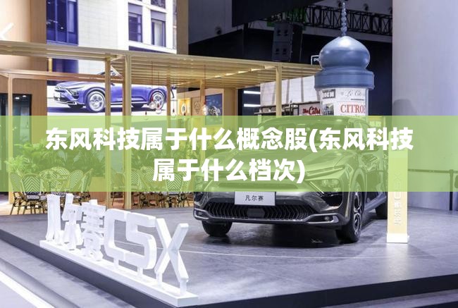 东风科技属于什么概念股(东风科技属于什么档次)