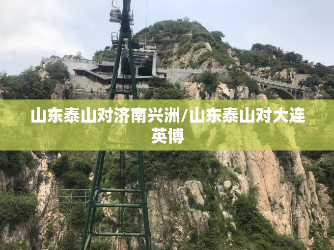 山东泰山对济南兴洲/山东泰山对大连英博