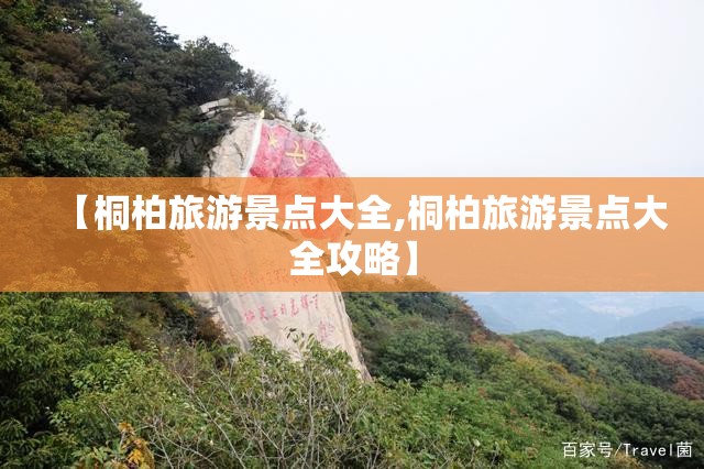 【桐柏旅游景点大全,桐柏旅游景点大全攻略】