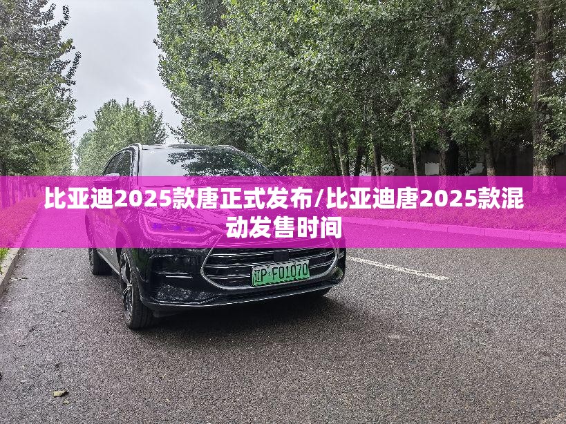 比亚迪2025款唐正式发布/比亚迪唐2025款混动发售时间