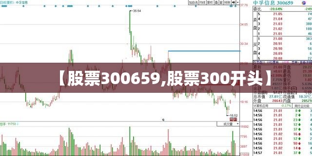 【股票300659,股票300开头】