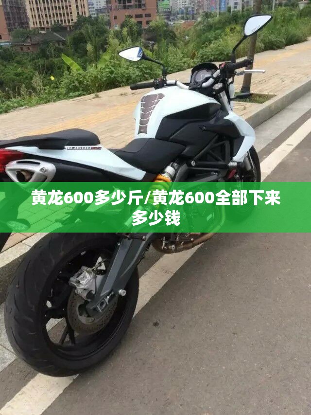 黄龙600多少斤/黄龙600全部下来多少钱 黄龙600多少斤/黄龙600全部下来多少钱