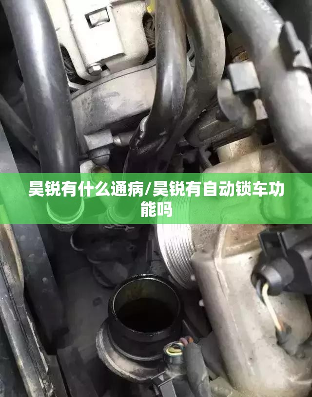 昊锐有什么通病/昊锐有自动锁车功能吗