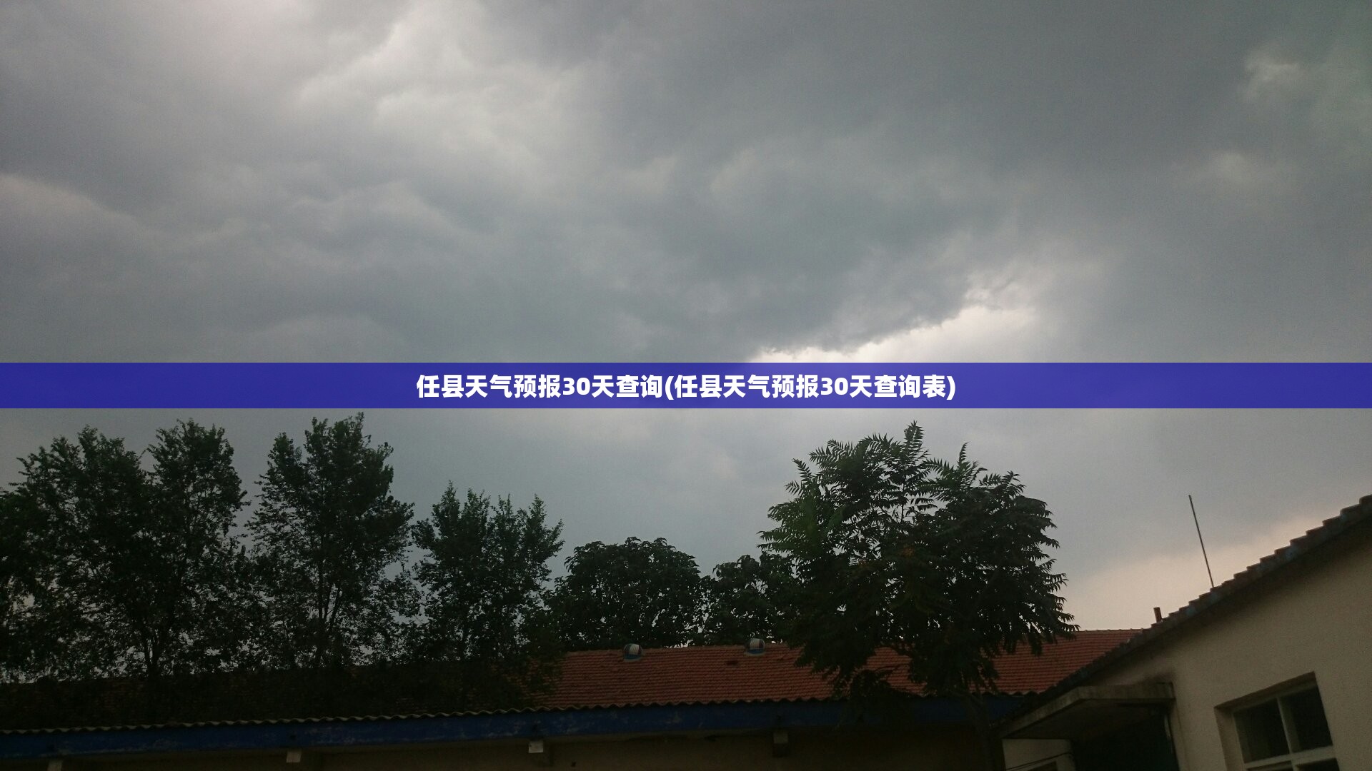 茅台股价近20年曲线图(茅台股价二十年)