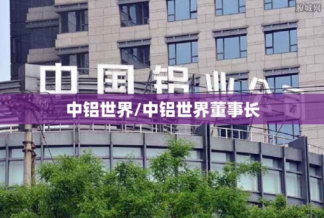 中铝世界/中铝世界董事长