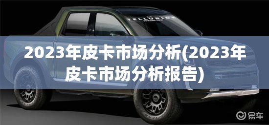 2023年皮卡市场分析(2023年皮卡市场分析报告) 2023年皮卡市场分析(2023年皮卡市场分析报告)