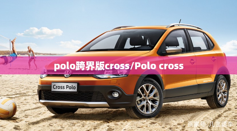polo跨界版cross/Polo cross