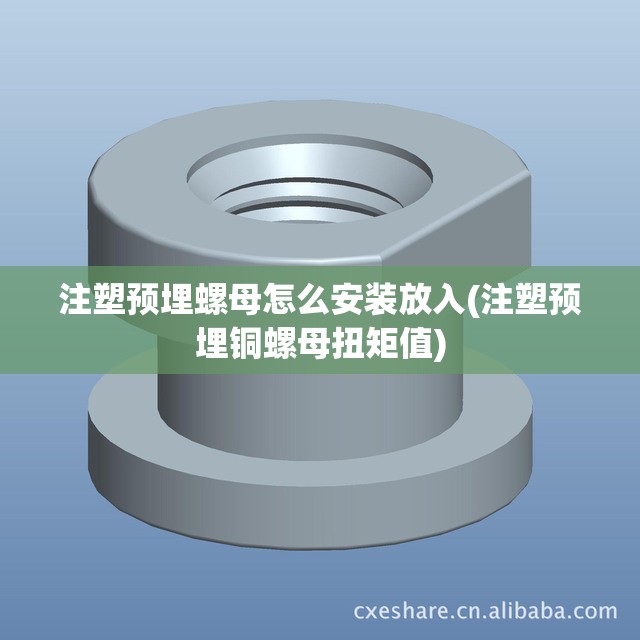 注塑预埋螺母怎么安装放入(注塑预埋铜螺母扭矩值)