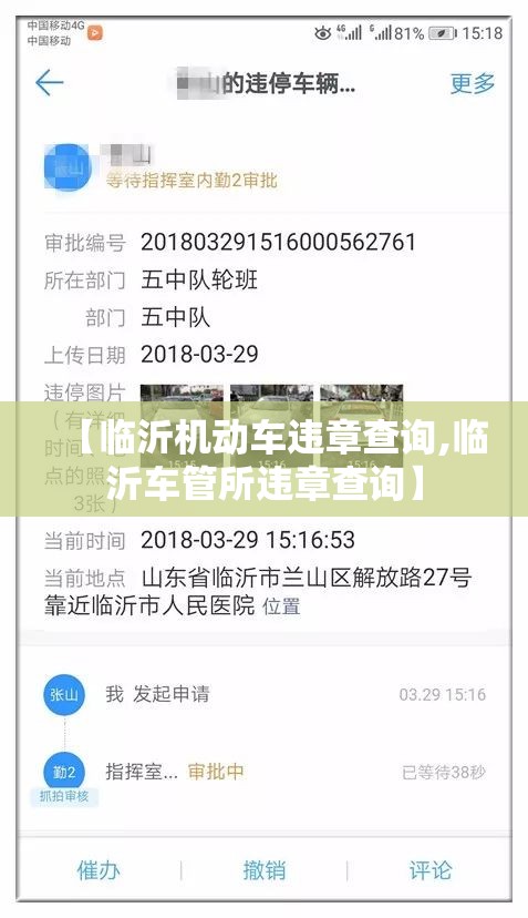 【临沂机动车违章查询,临沂车管所违章查询】