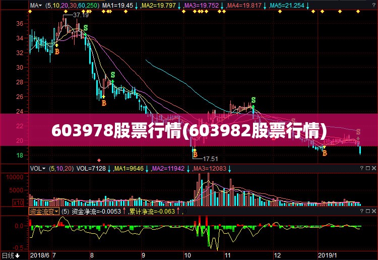603978股票行情(603982股票行情)