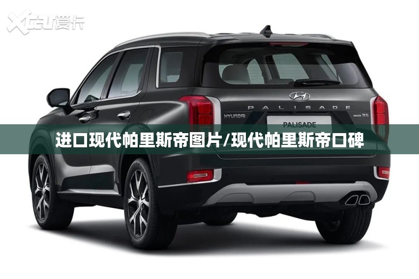 进口现代帕里斯帝图片/现代帕里斯帝口碑
