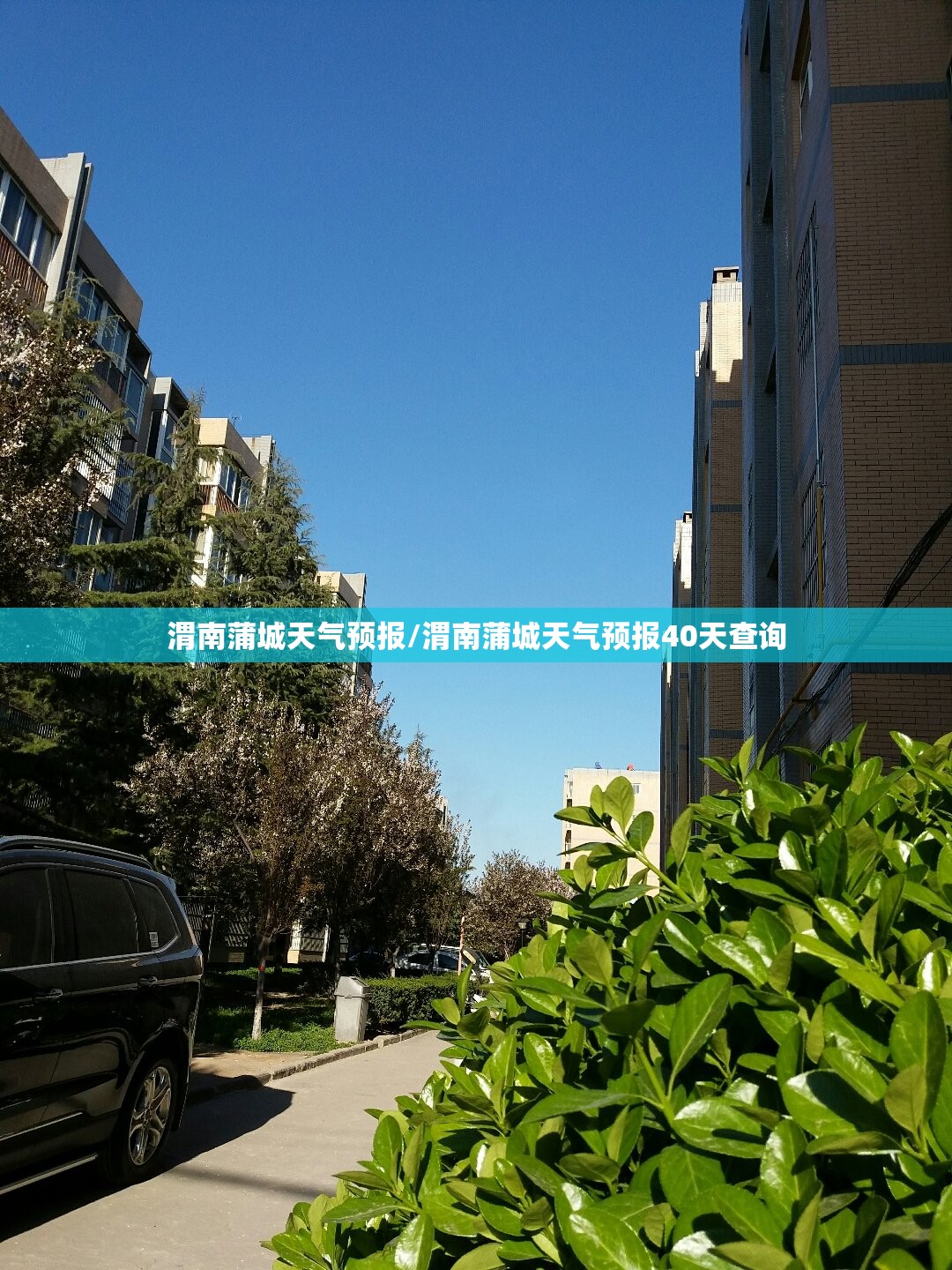 渭南蒲城天气预报/渭南蒲城天气预报40天查询