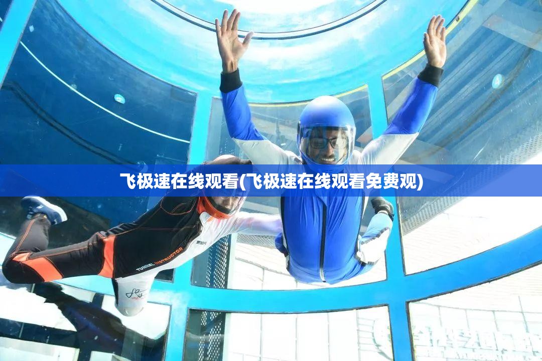 飞极速在线观看(飞极速在线观看免费观)