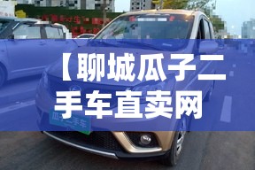 【聊城瓜子二手车直卖网官方网站,瓜子 二手车直卖网电话是多少】