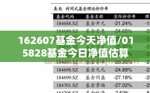 162607基金今天净值/015828基金今日净值估算