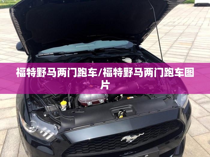 福特野马两门跑车/福特野马两门跑车图片 福特野马两门跑车/福特野马两门跑车图片