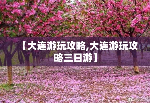 【大连游玩攻略,大连游玩攻略三日游】