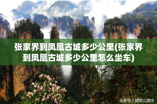 张家界到凤凰古城多少公里(张家界到凤凰古城多少公里怎么坐车)