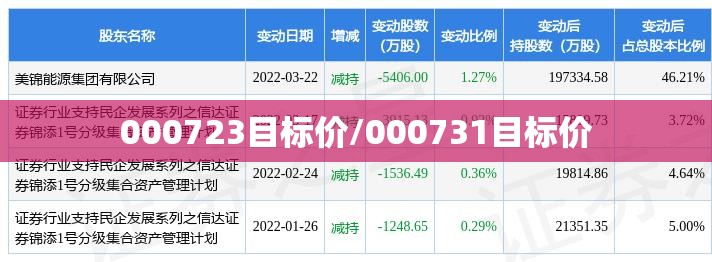 000723目标价/000731目标价