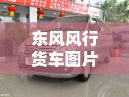 东风风行货车图片及报价/东风风行双排小货车报价及图片