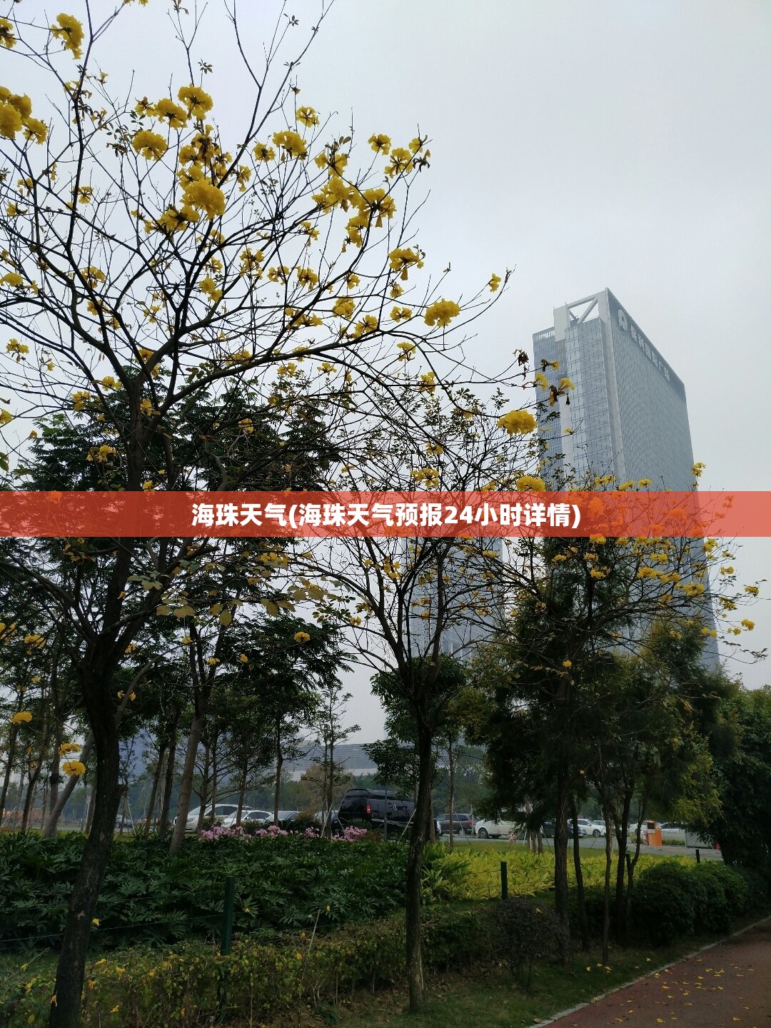 海珠天气(海珠天气预报24小时详情)