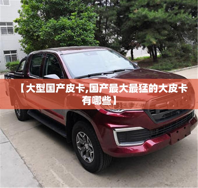 【大型国产皮卡,国产最大最猛的大皮卡有哪些】
