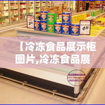 【冷冻食品展示柜图片,冷冻食品展示柜图片高清】