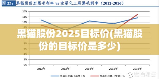 黑猫股份2025目标价(黑猫股份的目标价是多少)