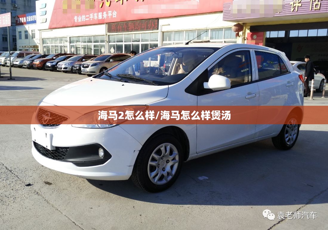 海马2怎么样/海马怎么样煲汤 海马2怎么样/海马怎么样煲汤