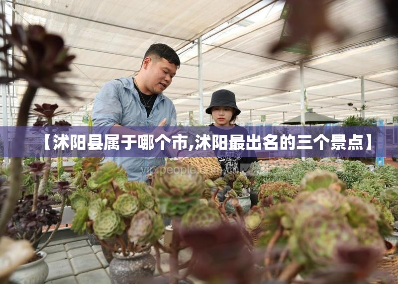 【沭阳县属于哪个市,沭阳最出名的三个景点】