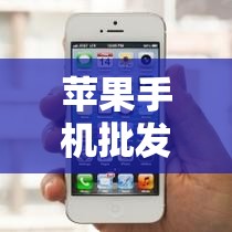 苹果手机批发网/手机屏幕批发网