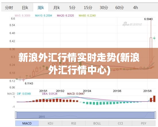 新浪外汇行情实时走势(新浪外汇行情中心)
